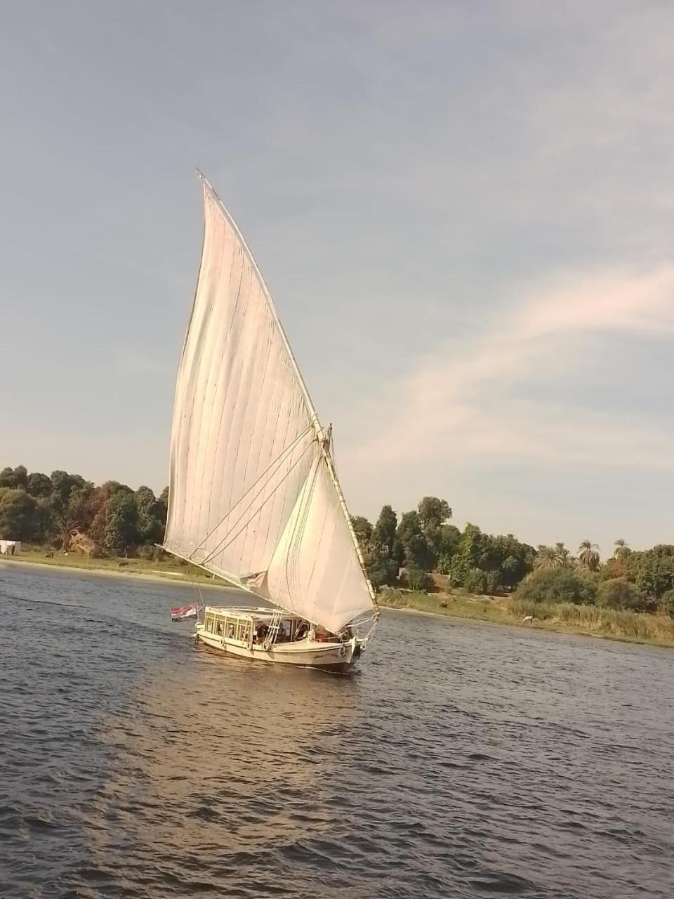 Hotel Nile Felucca Adventure Assuan Esterno foto