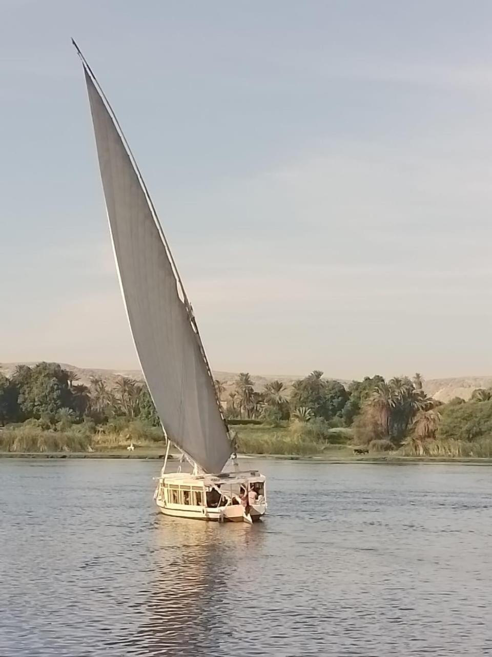 Hotel Nile Felucca Adventure Assuan Esterno foto